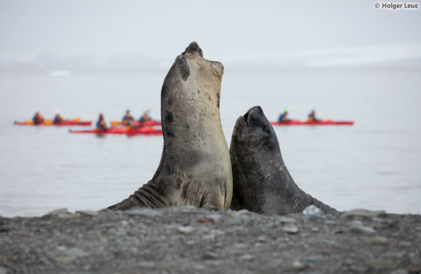 Antarctic_2020_1011_Antarctic Awakening